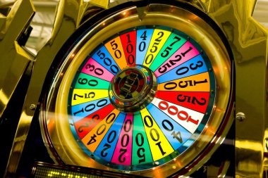 Account balance and Ekor Number bet history dashboard